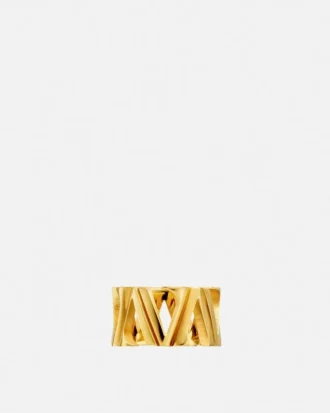 Anillo V