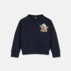 Sudadera de jersey de algodón bordada para niño Sudadera de jersey de algodón bordada para niño