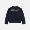Sudadera de jersey de algodón bordada para niño Sudadera de jersey de algodón bordada para niño