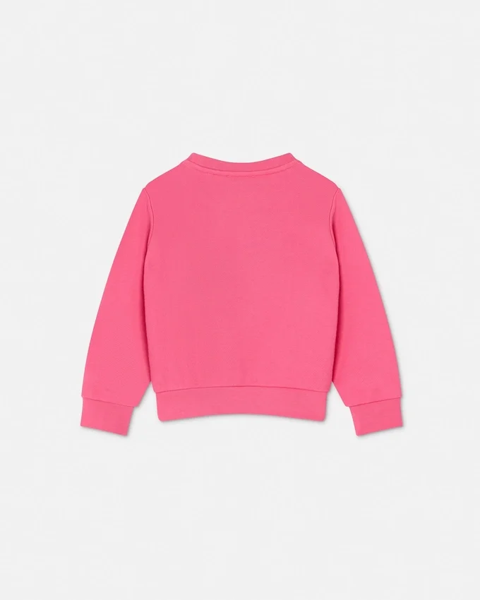 Sudadera de jersey de algodón bordada para niño Sudadera de jersey de algodón bordada para niño